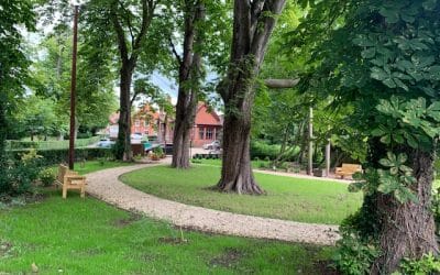 1-Day Wellness Retreat Waddesdon Hall