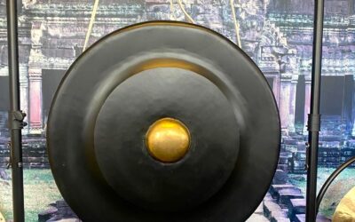 Gong Meditation-Parasympathetic Rejuvenation