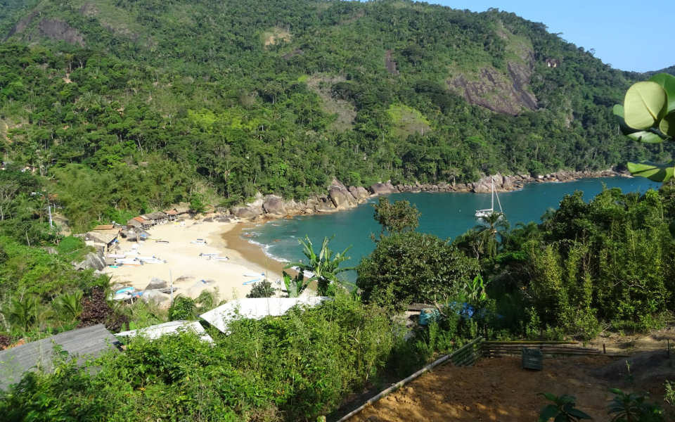 73361252_1273834856158136_2434035993314066432_n