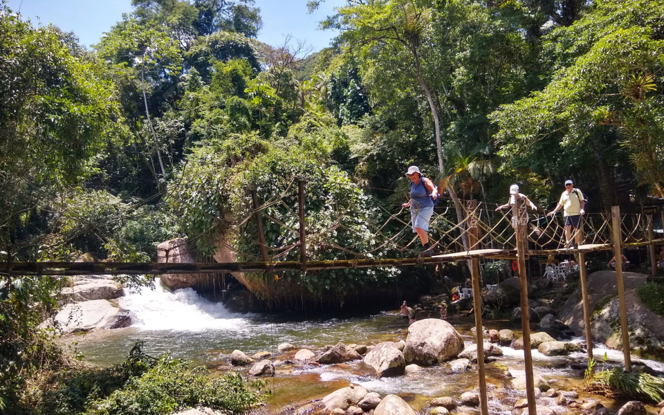 c771f2_41fa16852c484858acc3cad666f16c4a~mv2