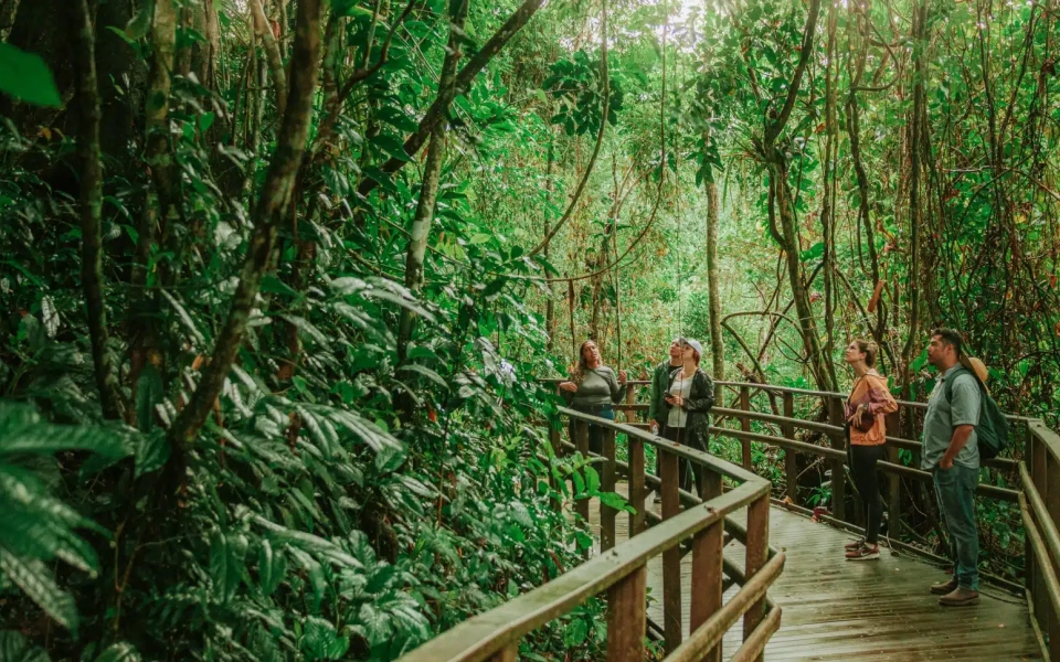 fazenda-bananal-imersao-na-floresta-principal-v2