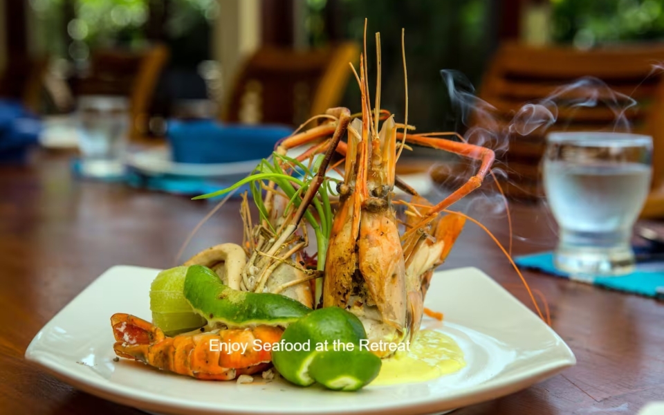 Ocean Soul Retreat – Sri Lanka (6)